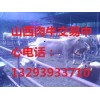 肉牛哪里實(shí)惠？山西肉牛養(yǎng)殖首選山西紅旗牧業(yè)