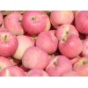 大量供應(yīng)紅富士 美8蘋(píng)果