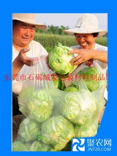 透明環(huán)保蔬菜袋_副本
