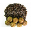 專業(yè)供應(yīng)油茶種子，油茶佔(zhàn)木種子