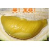 榴蓮批發(fā)、團(tuán)購，全國直銷，36斤/箱