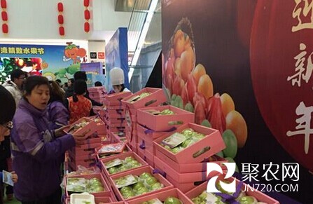 精致臺(tái)灣水果濟(jì)南受熱捧 牛奶澆灌 直飛濟(jì)南