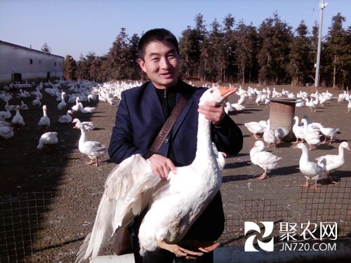 周文:扎根農(nóng)村闖天地 致富愿當(dāng)領(lǐng)路人