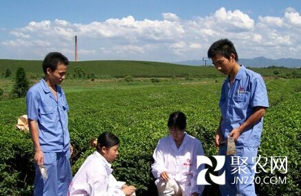 河北今年推廣測(cè)土配方施肥8000萬畝