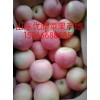 山東紅富士蘋果產(chǎn)地價格