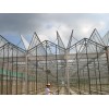 屋頂全開(kāi)型--玻璃連棟溫室 蔬菜大棚 花卉種植 溫室大棚建設(shè)