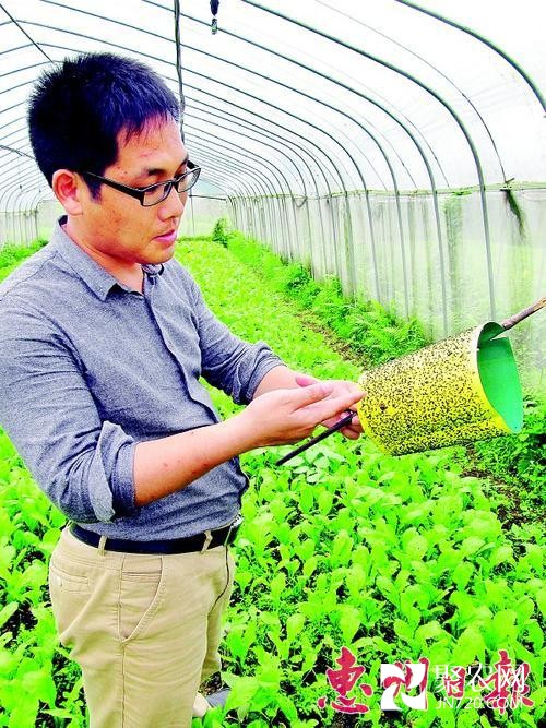 安徽小伙惠州市博羅辦有機農場