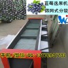 藍莓分選機分選藍莓效果好，是您的首選