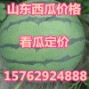 山東西瓜批發價格