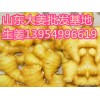 13954996619山東供應(yīng)大姜山東生姜產(chǎn)地