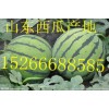 山東西瓜保熟山東西瓜產(chǎn)地價格