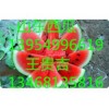 山東西瓜便宜供應(yīng)山東西瓜產(chǎn)地銷售山東西瓜4毛一斤上市