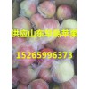 【產(chǎn)地】蘋果價格【產(chǎn)地】供應蘋果批發(fā)山東蘋果價格