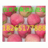 【今天山東嘎啦*美八蘋果價(jià)格】
