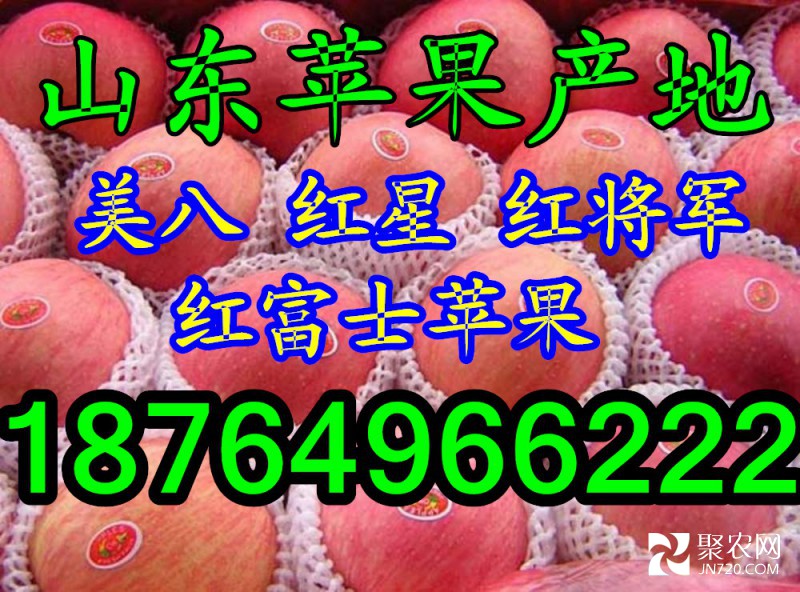 蘋果。。網(wǎng)字