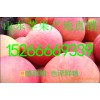 山東紅富士蘋果批發(fā)市場(chǎng)