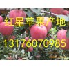 山東蘋果批發(fā)市場價(jià)格