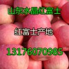 果園山東紙袋水晶紅富士蘋果批發(fā)