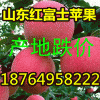 18764958222蘋果產地降價山東紅富士蘋果現在什么價格