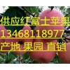 山東紅富士蘋果最新價格及行情預(yù)測