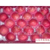 山東冷庫(kù)紅富士蘋(píng)果基地供應(yīng)價(jià)格