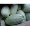 山東甜瓜價(jià)格山東哪里有甜瓜批發(fā)