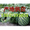 西瓜價(jià)格，今天山東西瓜裝車3毛包熟保質(zhì)量