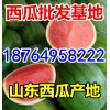 哪里西瓜批發便宜，哪里買西瓜好，今日西瓜什么價格