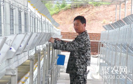 養殖技術人員正在安遠縣天心鎮養兔扶貧基地為種兔搭建兔舍。