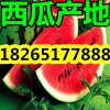 今年山東京欣西瓜市場(chǎng)價(jià)格