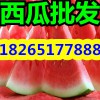 【西瓜哪里批發(fā)的 山東西瓜多錢(qián)】
