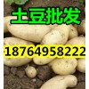 供應(yīng)土豆批發(fā)基地 山東土豆產(chǎn)地 今日土豆價(jià)格行情