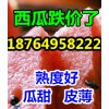 今日西瓜便宜嗎，西瓜批發價格，山東大棚西瓜產地