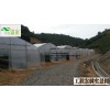 供應簡易大棚FC-005、芳誠溫室--18988967562