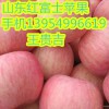 山東紅富士蘋果批發山東富士蘋果產地山東臨沂蘋果基地上市
