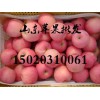 15020310061產(chǎn)地紅富士蘋(píng)果直銷(xiāo)批發(fā)供應(yīng)多少錢(qián)