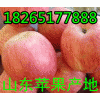 【山東紅富士蘋果最新價(jià)格行情】