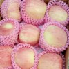 山東紅富士蘋(píng)果跌價(jià)銷售