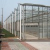 溫室大棚建造費用，溫室大棚造價