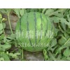 恒瑞種業(yè)專業(yè)批發(fā)西瓜種子，批發(fā)西瓜種子