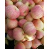 山東紅富士蘋(píng)果產(chǎn)地低價(jià)直銷
