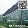 設計生產高品質陽光板溫室玻璃溫室蔬菜大棚農業大棚工程