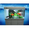 水族箱廠家直銷 蘭州魚(yú)缸甘肅水族蘭州水族工程甘肅水族招商加盟蘭州三森水族有限公司
