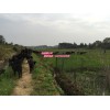 品質(zhì)好的黑山羊當選利佳羊場：湖南努比亞黑山羊加盟