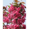 珠穆朗瑪?shù)拿利愖屇阄叶紣鄄会屖?/></a>
<div><a href=