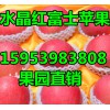 【山東最近紅富士蘋果產(chǎn)地價(jià)格行情】