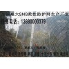 成都被動(dòng)網(wǎng)_高質(zhì)量的被動(dòng)防護(hù)網(wǎng)，越琪供應(yīng)