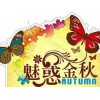 天華山一日游，可信的一日游，美好時光旅行社提供