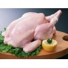 鴨副產(chǎn)品廠家|口碑好的白條鴨中元食品供應(yīng)