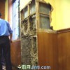廈門(mén)滅白蟻  廈門(mén)智博天下有害生物防治公司熱線05925232136